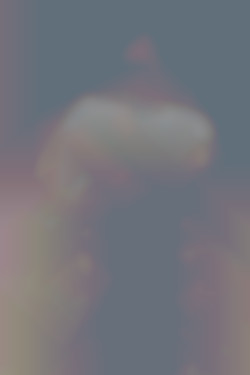 Member Image