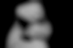 Member Image