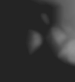 Member Image