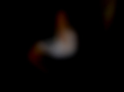 Member Image