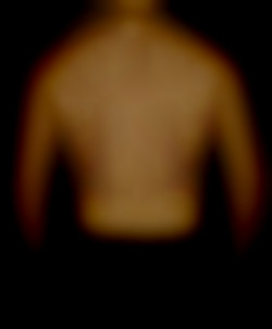 Member Image