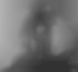 Member Image