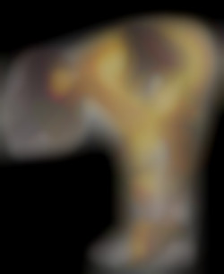 Member Image