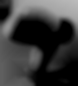 Member Image
