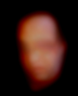 Member Image