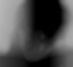 Member Image