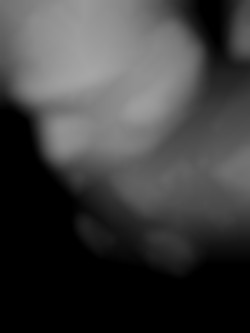 Member Image