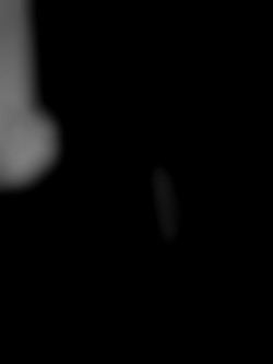 Member Image