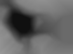 Member Image