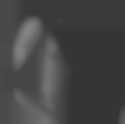 Member Image