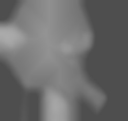 Member Image