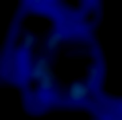 Member Image