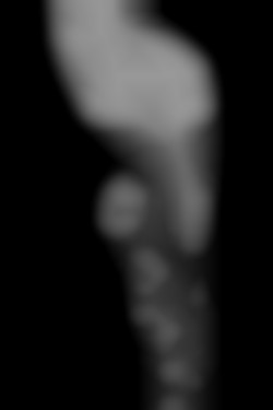Member Image
