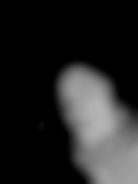 Member Image