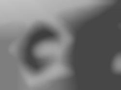 Member Image