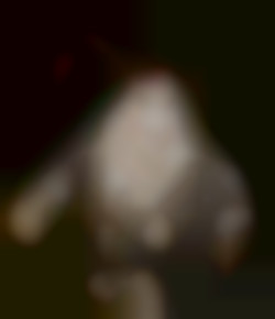 Member Image