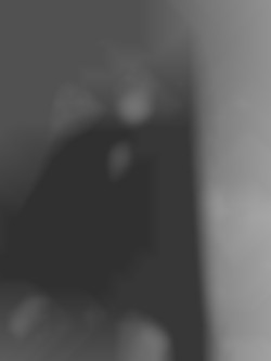 Member Image