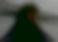 Member Image