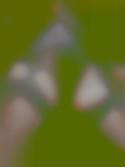 Member Image