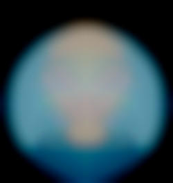 Member Image