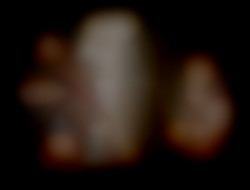 Member Image