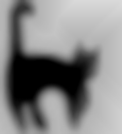 Member Image