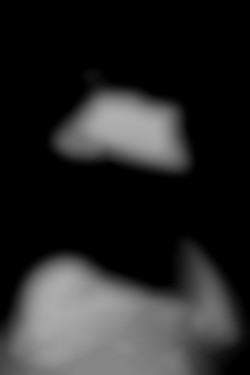 Member Image