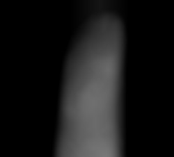 Member Image