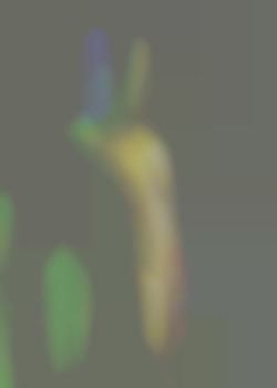 Member Image
