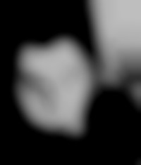 Member Image