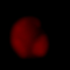 Member Image