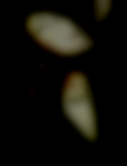 Member Image