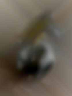 Member Image