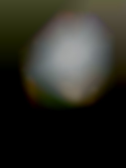 Member Image
