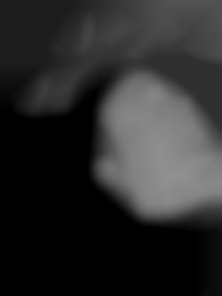 Member Image