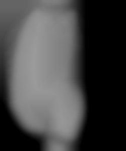Member Image