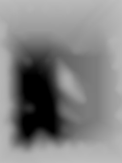Member Image