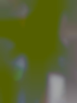 Member Image