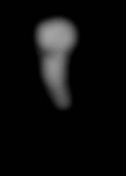 Member Image