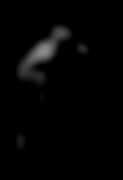 Member Image