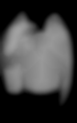 Member Image