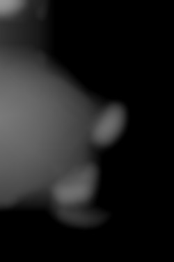 Member Image