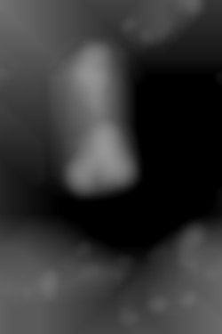 Member Image