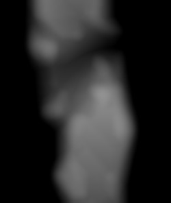 Member Image