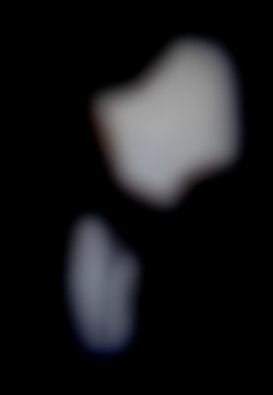 Member Image