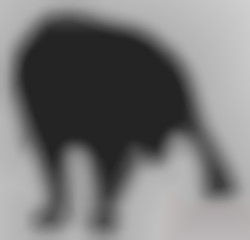 Member Image