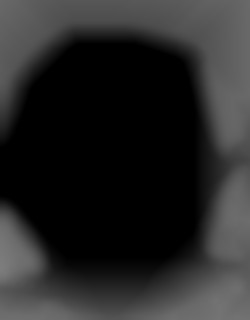 Member Image