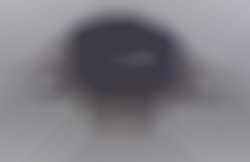 Member Image