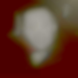 Member Image