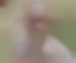 Member Image